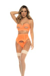 Embroidered Mesh Wedding Night Set - Garters and Thong for Special Occasions