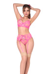 Flirty Pink Three-Piece Lingerie Set Ð Sexy Bra, Panty & Garter