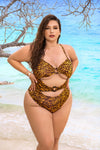 A woman wearing an animal print one-piece swimsuit with front cutouts and an imitation tortoiseshell hoop detail, standing on the beach with the ocean in the background. The adjustable back ensures a perfect fit, while the medium coverage bottom provides comfort for a day of adventure on a remote beach. This swimsuit combines style and comfort, flattering the figure and making a bold fashion statement. The inclusive sizing options ensure a perfect fit for all body types.